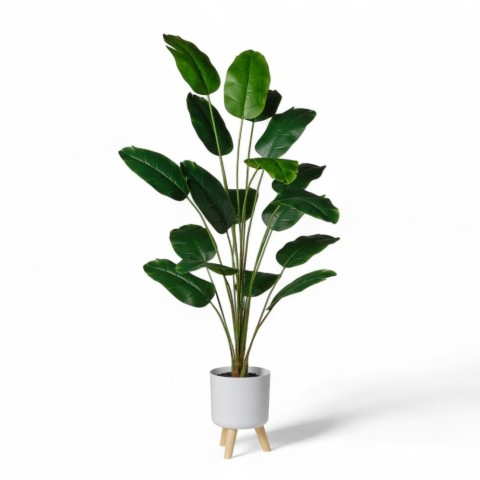 STERLIZIA IN VASO H120-130 CON 18 FOGLIE